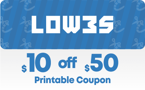 TWO Lowes 10% OFF ANY PURCHASE for Online Orders & In-Store Exp 11/30/18 2x 